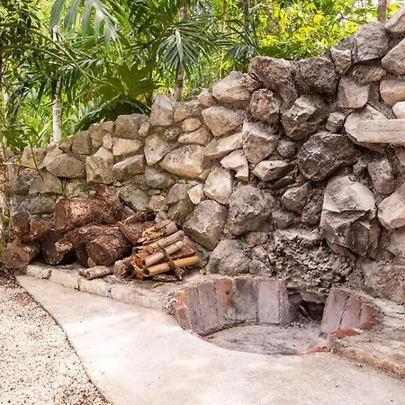 Сasa de vacaciones Zen Canto Tuuch :: May The Jungle Be With You *