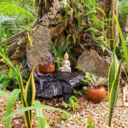 Zen Canto Tuuch :: May The Jungle Be With You *