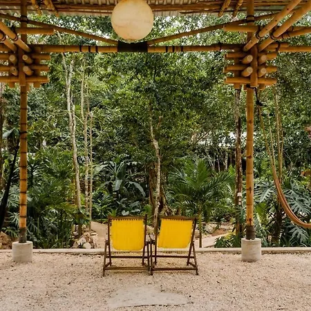 Сasa de vacaciones Zen Canto Tuuch :: May The Jungle Be With You