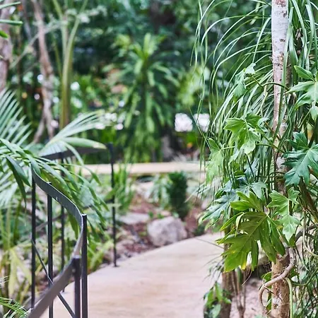 Zen Canto Tuuch :: May The Jungle Be With You *