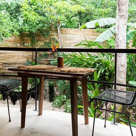 Zen Canto Tuuch :: May The Jungle Be With You Сasa de vacaciones *