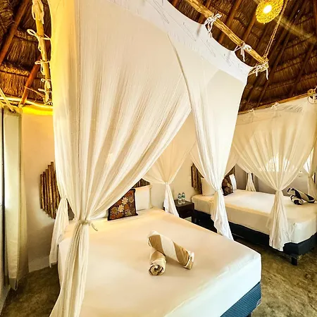 Alito Hotel 4*