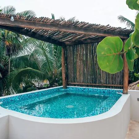 Orchid House (adults Only) Tulum