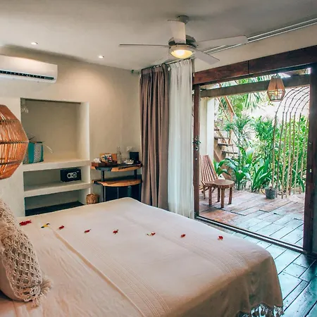 Hotel Orchid House (adults Only) Tulum