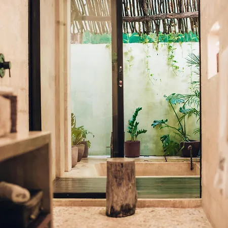 Hotel Orchid House Jungle 5*