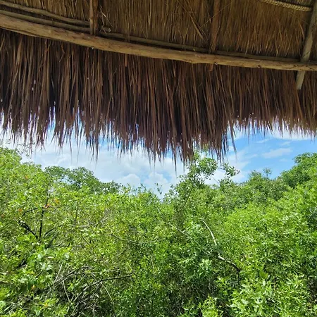 Cormoran & Cenote 3* Tulum