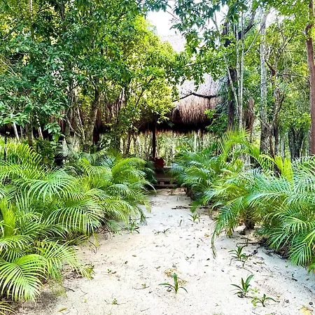 Glamping Bunga Lotus Tulum
