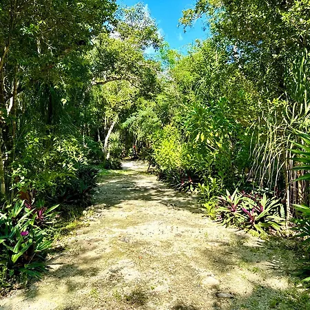 Camping Glamping Bunga Lotus Tulum