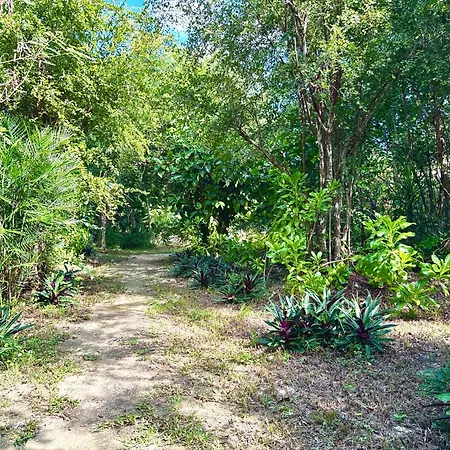 Glamping Bunga Lotus Camping Tulum