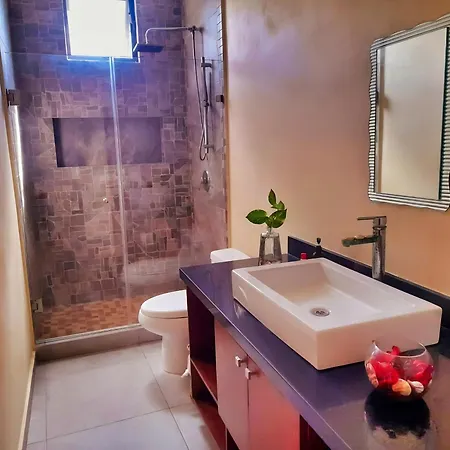 Hotel Naajal Boutique - Magic & Jungle