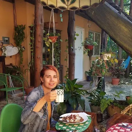 Bed & Breakfast Casa Tzalam Selva