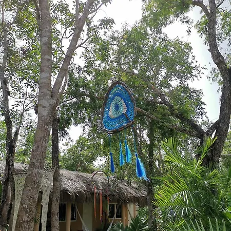 Bed & Breakfast Casa Tzalam Selva 4*