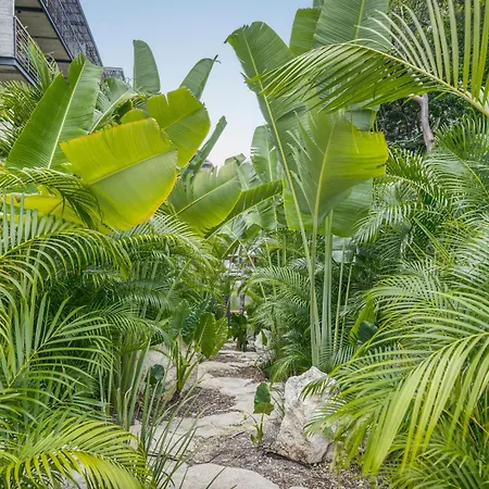 Apartment Paradise - Penthouse With Private Pool And Cenote *