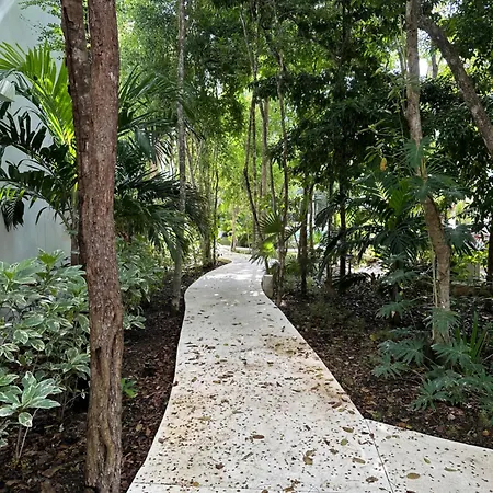 Cozy In - Aldea Zama - 2 Pools, Gym & Palapa Tulum