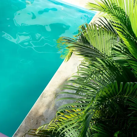 Stella Maris Hotel Tulum