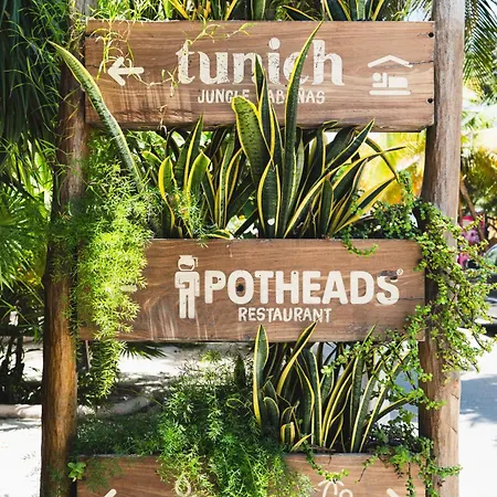 Tunich Jungle Guest house