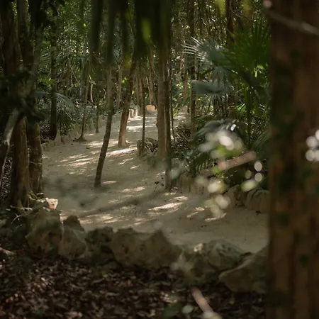 Naum - Secluded With Private Cenote Villa Tulum