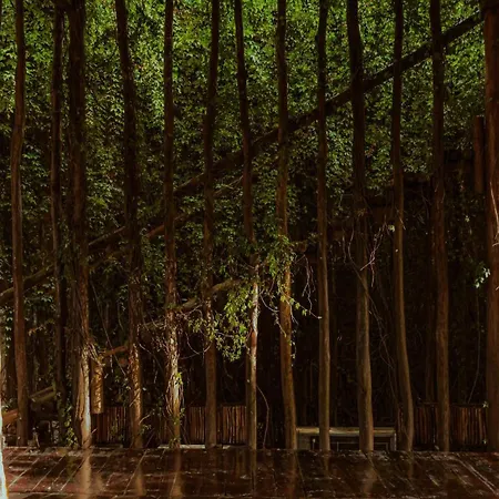 Casa Teka - Boutique & Cenote Tulum