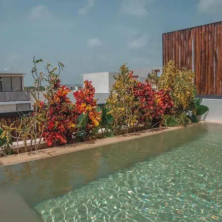 Casa Palalma Penthouse With Private Rooftop Pool Tulum