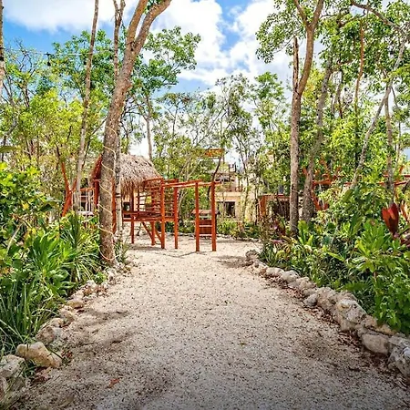 Private Rooftop Penthouse With Pool, Bbq & Jungle View Apartment *