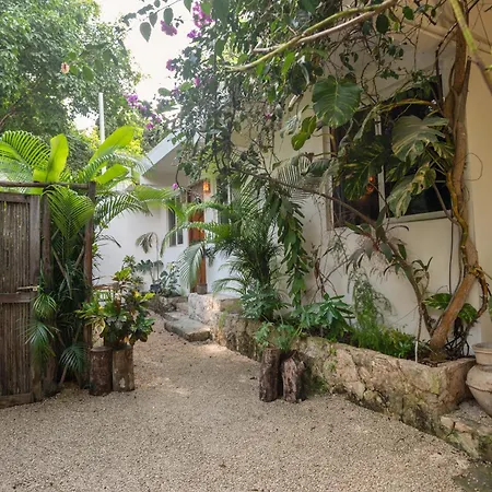 Huaya Camp * Tulum