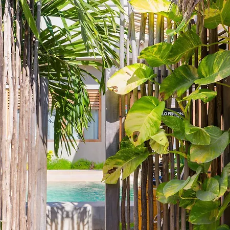 Dona Lucha Hostel Tulum