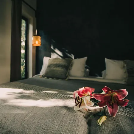 Yum Kaax Boutique Hotel Tulum
