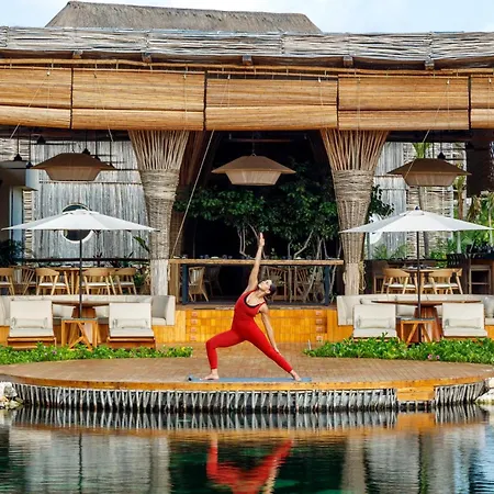 Shibari - Restaurant & Cenote Club