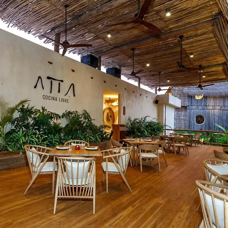 Hotel Shibari - Restaurant & Cenote Club