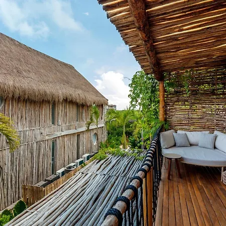 Shibari - Restaurant & Cenote Club 5*