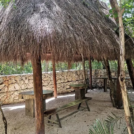 Agua & Selva Luxury Jungle Loft * Tulum