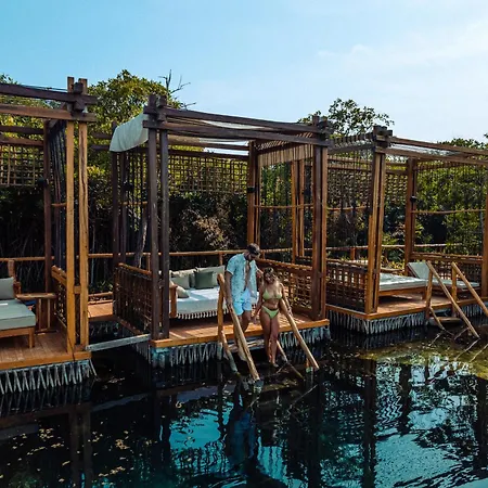 Shibari - Restaurant & Cenote Club