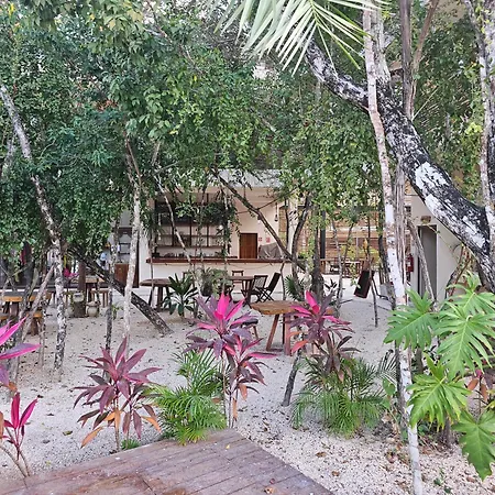 Enjoy Nature * Tulum