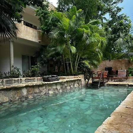Casita Maya Loft Con Jacuzzi Privado Apartment
