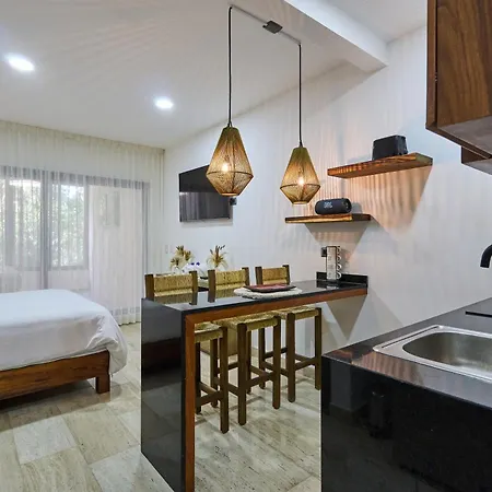 Apartment Estudio De Lujo, Pool And Gym *
