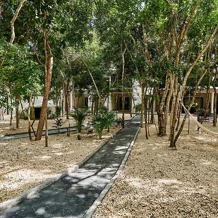 Apartment Estudio De Lujo, Pool And Gym
