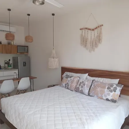 Apartment Estudio