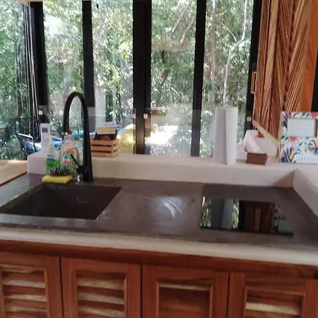Apartamento Jungle Treehouse *