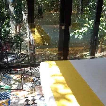 Apartamento Jungle Treehouse