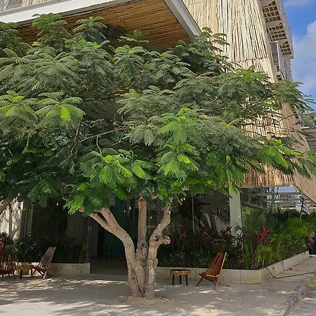 Siente & Cenote Club 4*
