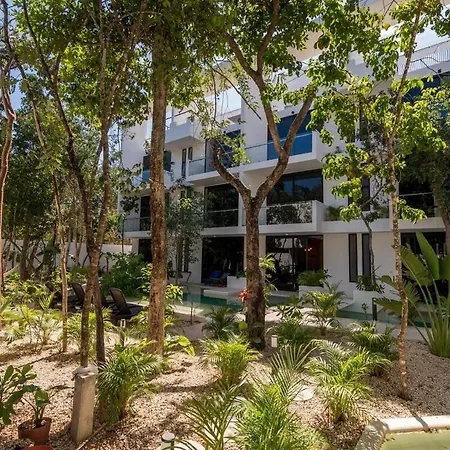 Sak Ph 305 B. Cenotes & Nearby * Tulum
