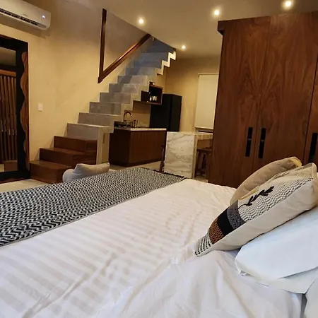 Amplio Departamento Con Balcon Y Cocina * Tulum