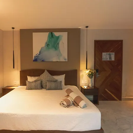 Cacao - With Exterior Plunge Pool Washer & Dryer