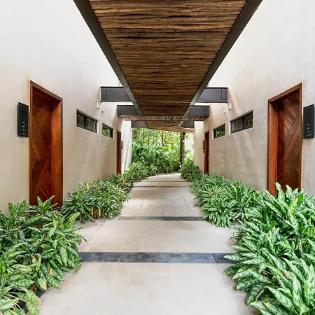 Cacao - With Exterior Plunge Pool Washer & Dryer