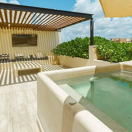 Amazing Penthouse Luxory & Private Rooftop W/jacuzzi Apartment