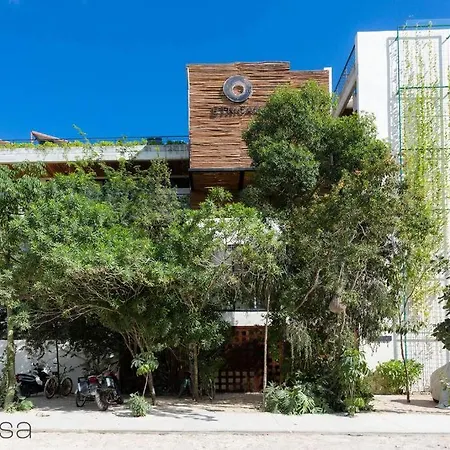 Apartment Loft With Private Pool At La Veleta! Tulum