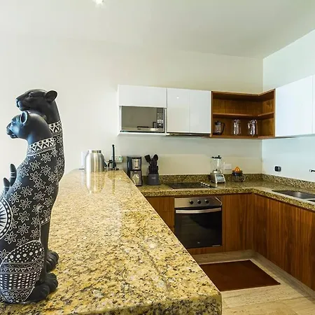 Apartment Amazing Penthouse Luxory & Private Rooftop W/jacuzzi