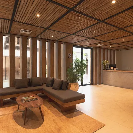 Cacao - With Exterior Plunge Pool Washer & Dryer Apartment *