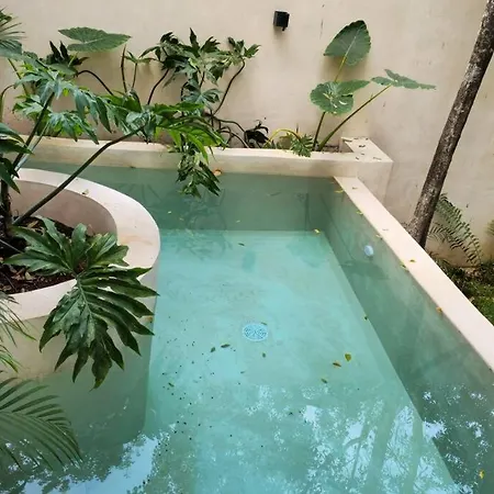 El Nido Private Pool & Garden Apartment *