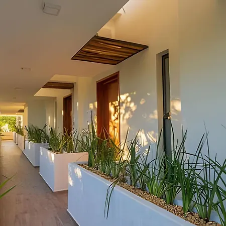 Hotel Penthouse With Private Pool Moots 306 *